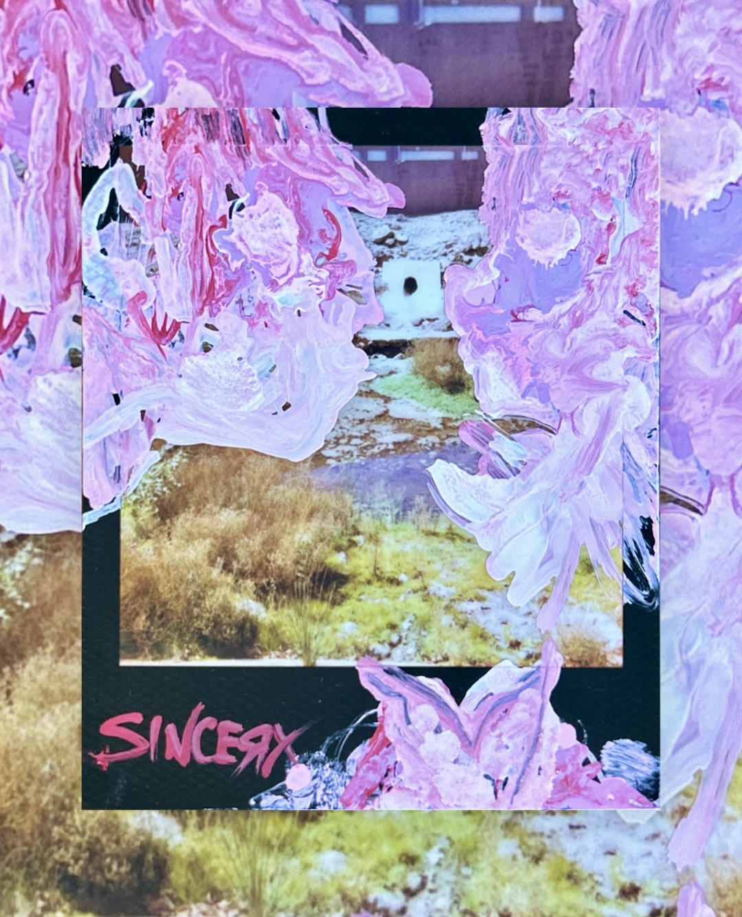 pink blossom clouds painted over a Polaroid of a snowy desert landscape