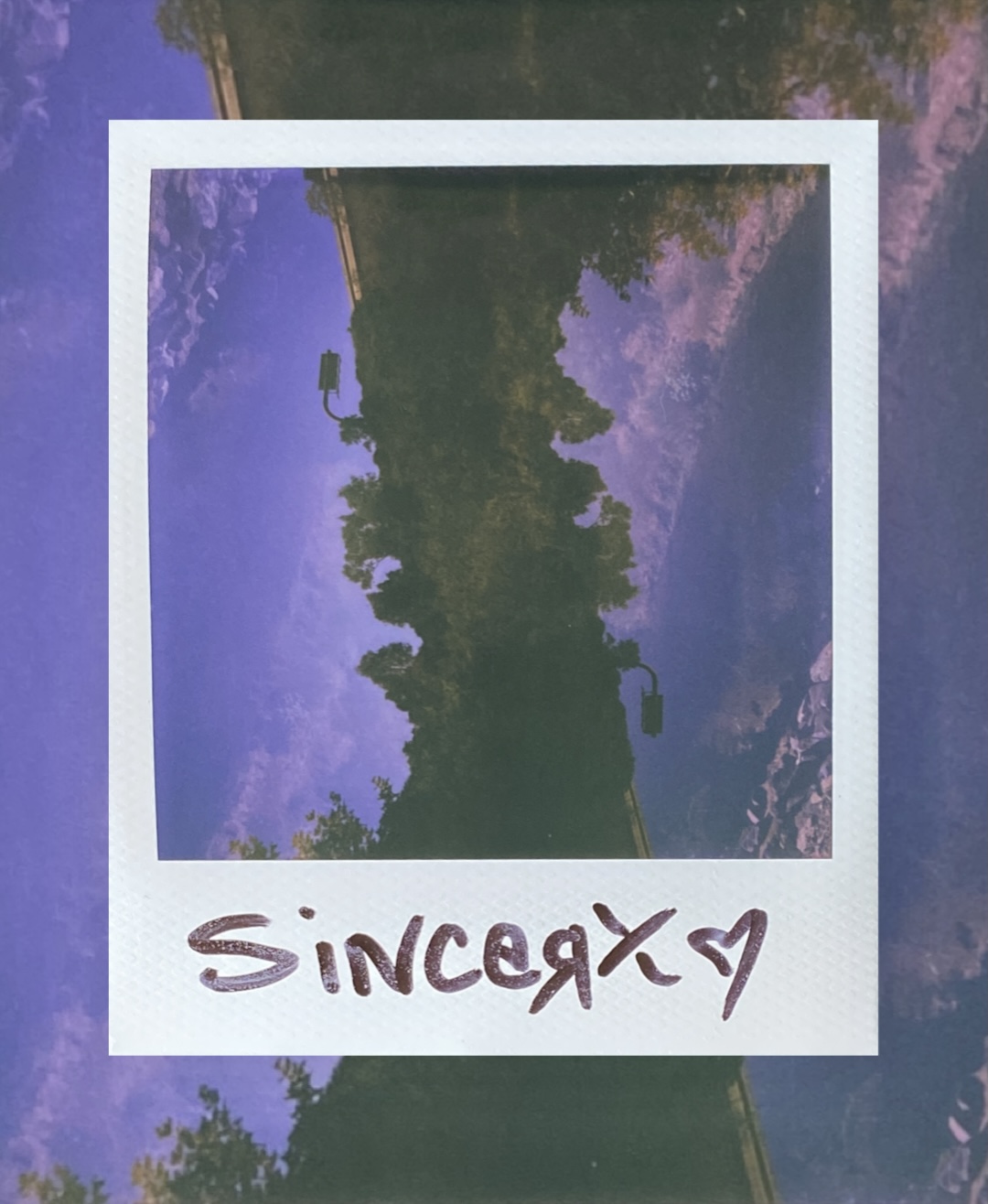 a double-exposed Polaroid of trees and streetlights rising against a violet sky, signed sincerx