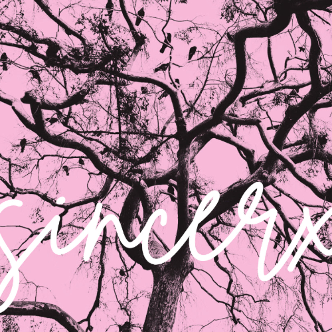 Official sincerx artwork for the sixteen seasons title track: black tree branches on a pink field with a white signature